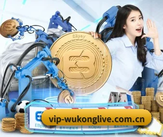五大体育板块覆盖,从比分到直播全覆盖 - 多运动项目内容板块